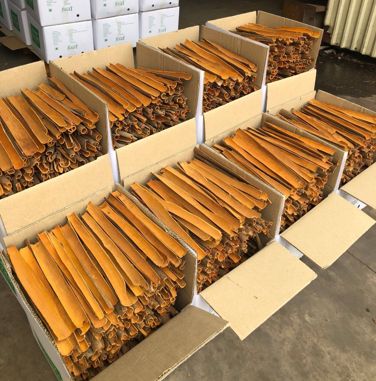 PREMIUM VIETNAMESE CASSIA AD CINNAMON STICKS – 13.5% MOISTURE, ISO-CERTIFIED SUPPLY