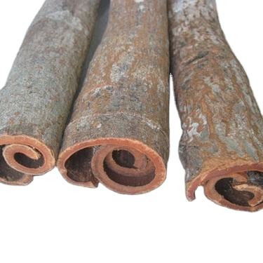 PREMIUM VIETNAMESE CASSIA AD CINNAMON STICKS – 13.5% MOISTURE, ISO-CERTIFIED SUPPLY 2