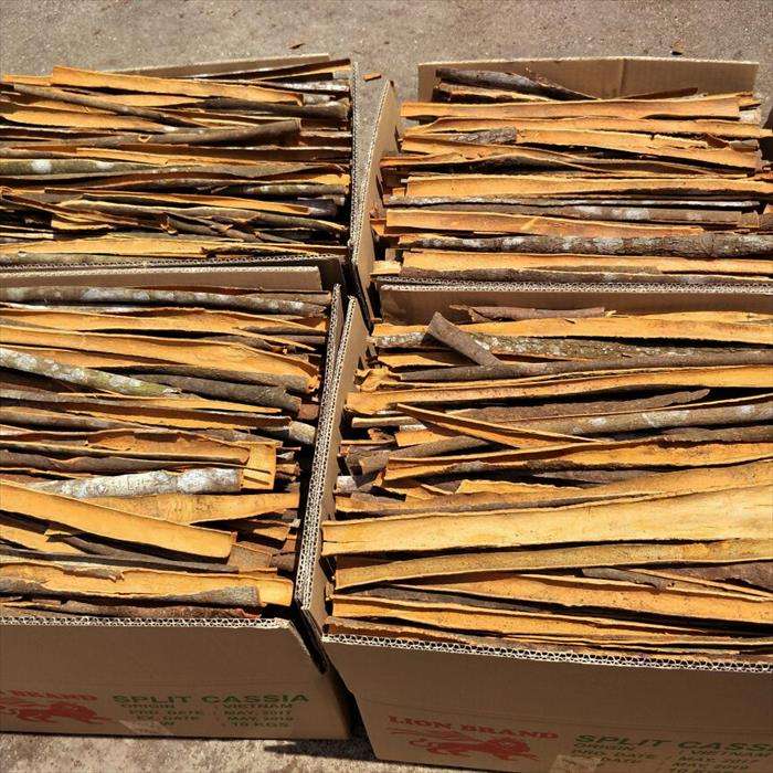 VIETNAMESE DRIED CASSIA CINNAMON CUTS – CUSTOM SIZES, COMPETITIVE WHOLESALE EXPORT SUPPLY 3