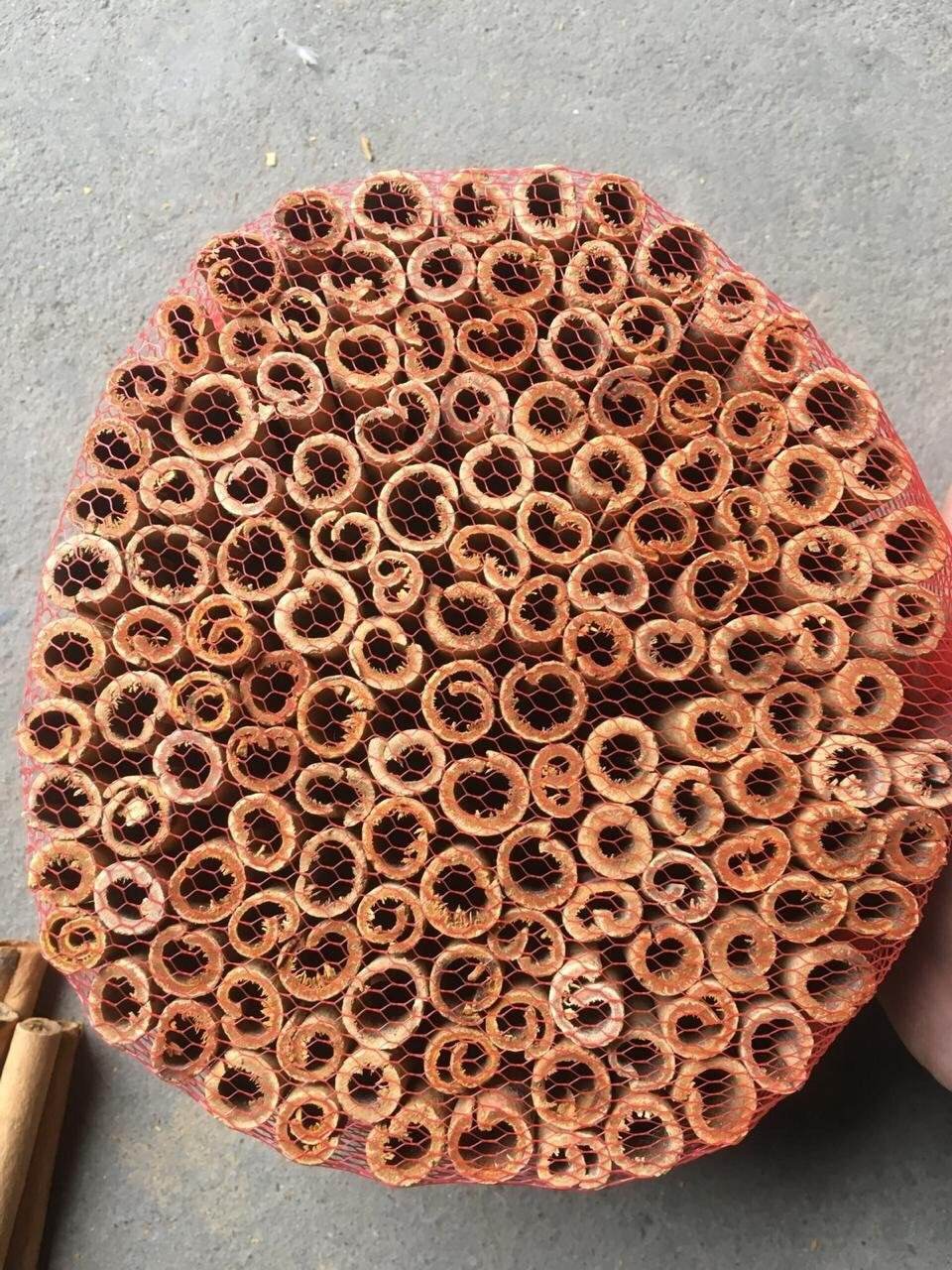 VIETNAMESE DRIED CASSIA CINNAMON CUTS – CUSTOM SIZES, COMPETITIVE WHOLESALE EXPORT SUPPLY 4