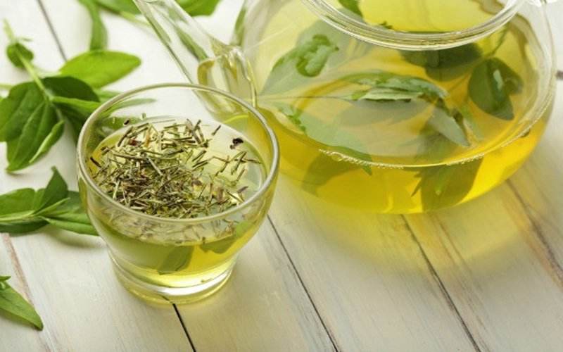 PREMIUM VIETNAMESE SHAN SNOW ANCIENT-TREE GREEN TEA – PURE LOOSE LEAVES, OEM & BULK WHOLESALE SUPPLY 3