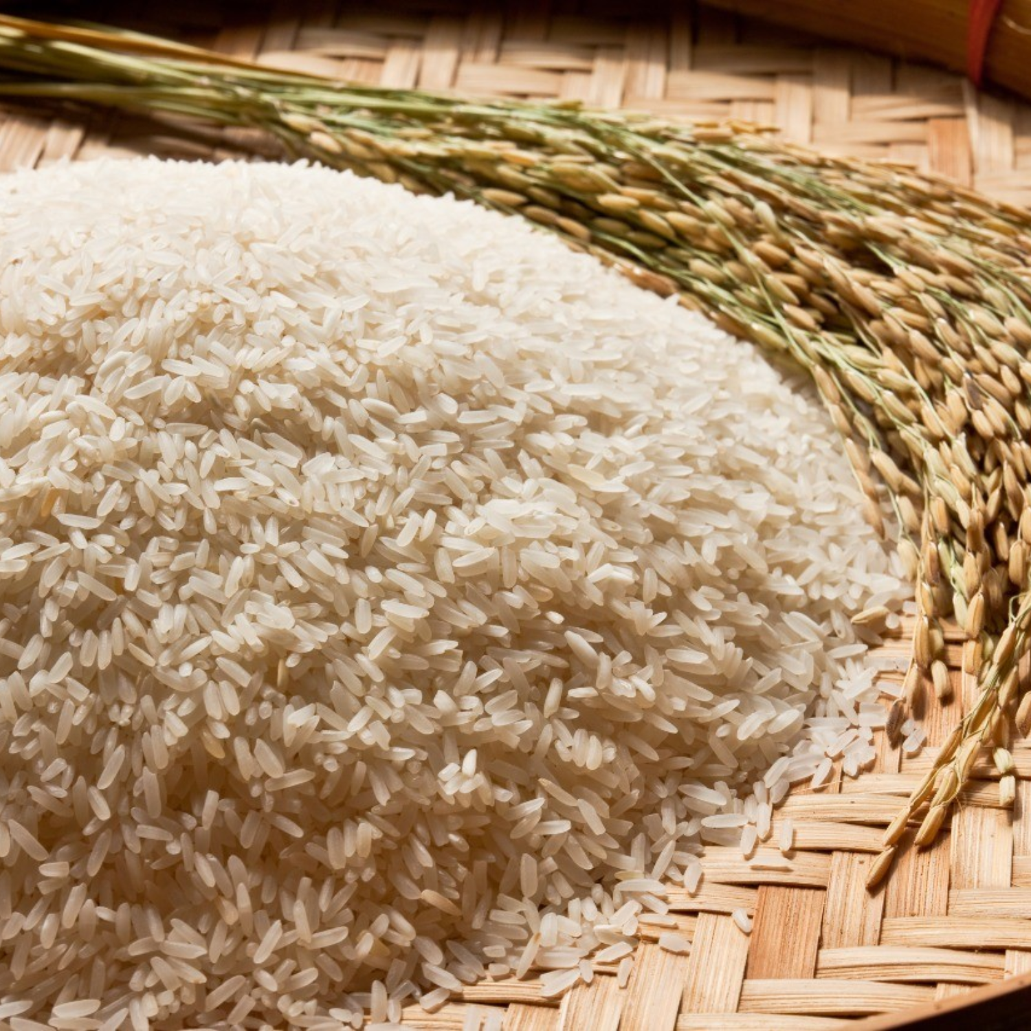 PREMIUM VIETNAMESE NATURAL AROMATIC BROKEN RICE – BULK WHOLESALE EXPORT SUPPLY