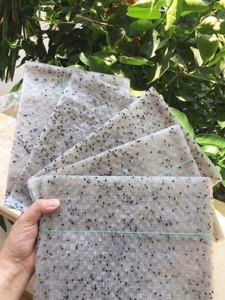 VIETNAMESE BLACK SESAME RICE PAPER – WHOLESALE EXPORT & CUSTOM OEM PACKAGING 2