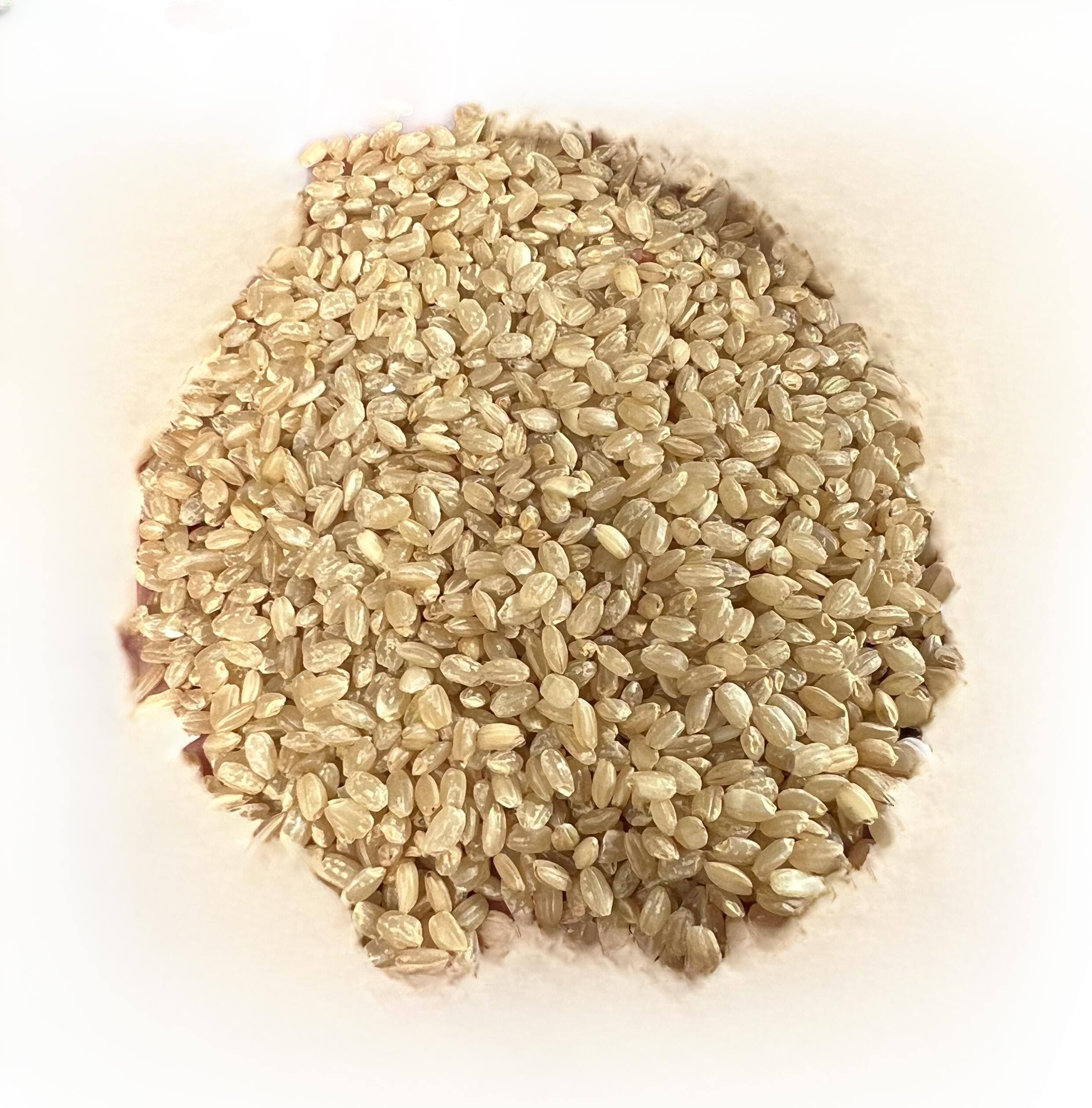 PREMIUM VIETNAMESE JAPONICA WHITE RICE – 25KG & 50KG PP BAGS FOR EU EXPORT 4