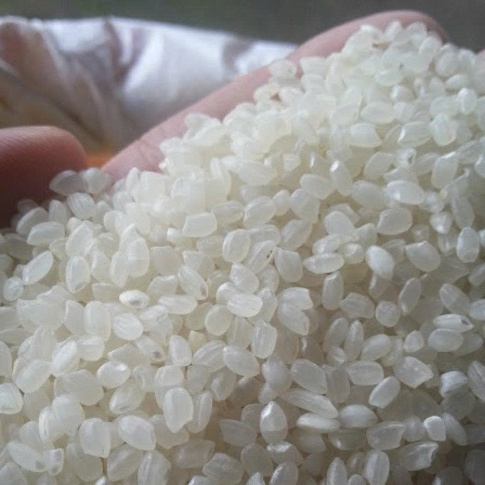 VIETNAMESE WHITE JAPONICA RICE – MEDIUM-GRAIN DRIED RICE, OEM/ODM & BULK EXPORT SUPPLY 3