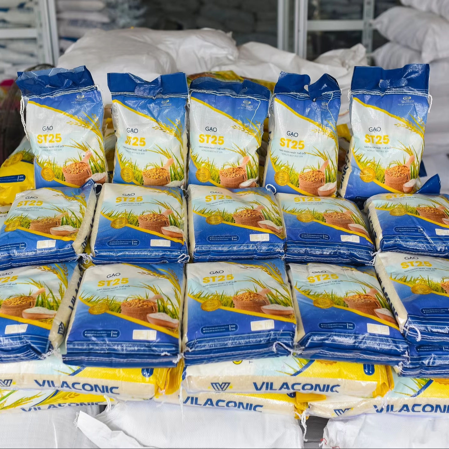 VIETNAMESE ST25 FRAGRANT WHITE RICE – LONG-GRAIN DRIED RICE, LATEST CROP FOR EXPORT 2