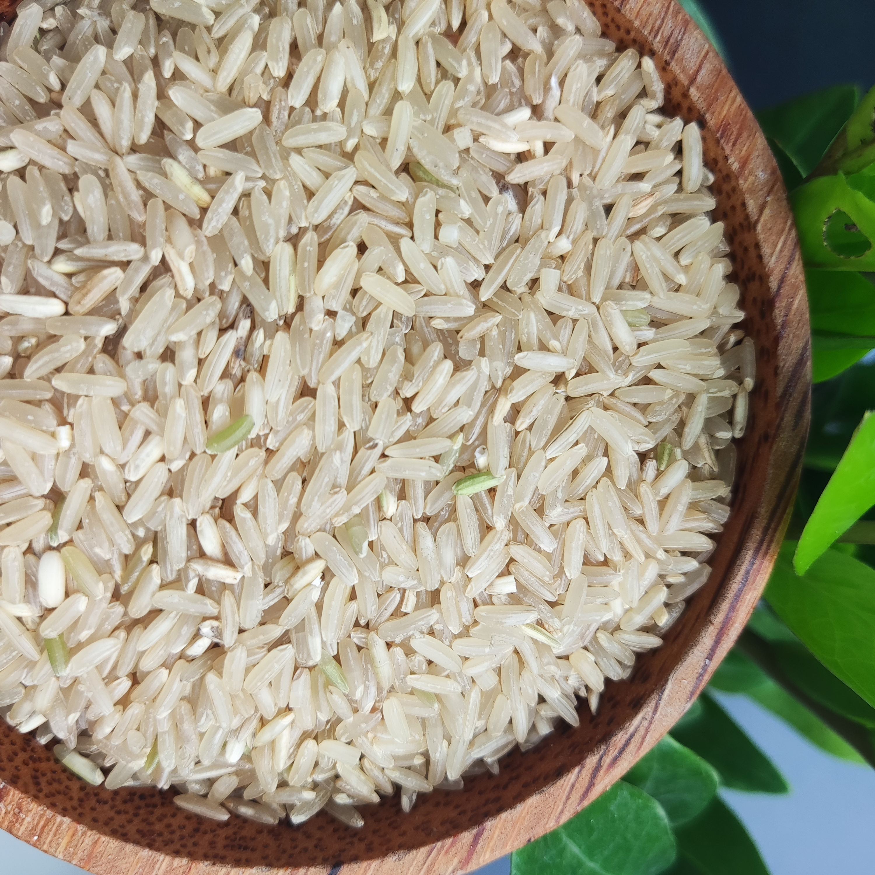 HIGH-QUALITY VIETNAMESE BROWN JAPONICA RICE FOR EXPORT – WHOLESALE 2KG, 5KG, 10KG & 25KG BAGS