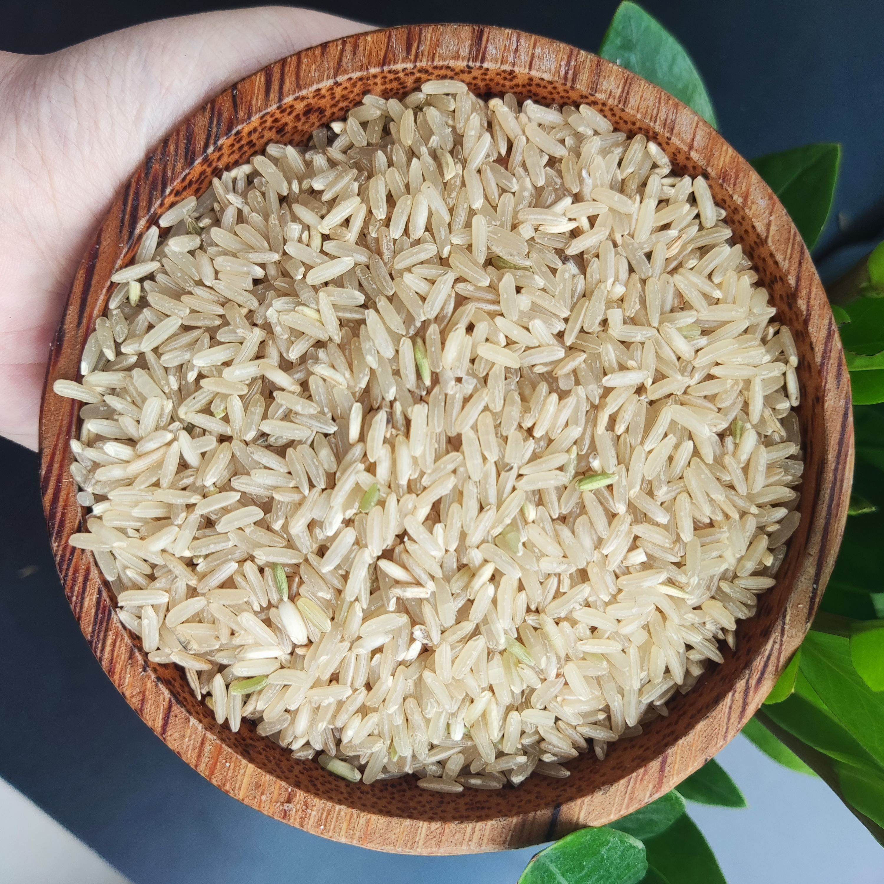 HIGH-QUALITY VIETNAMESE BROWN JAPONICA RICE FOR EXPORT – WHOLESALE 2KG, 5KG, 10KG & 25KG BAGS 2