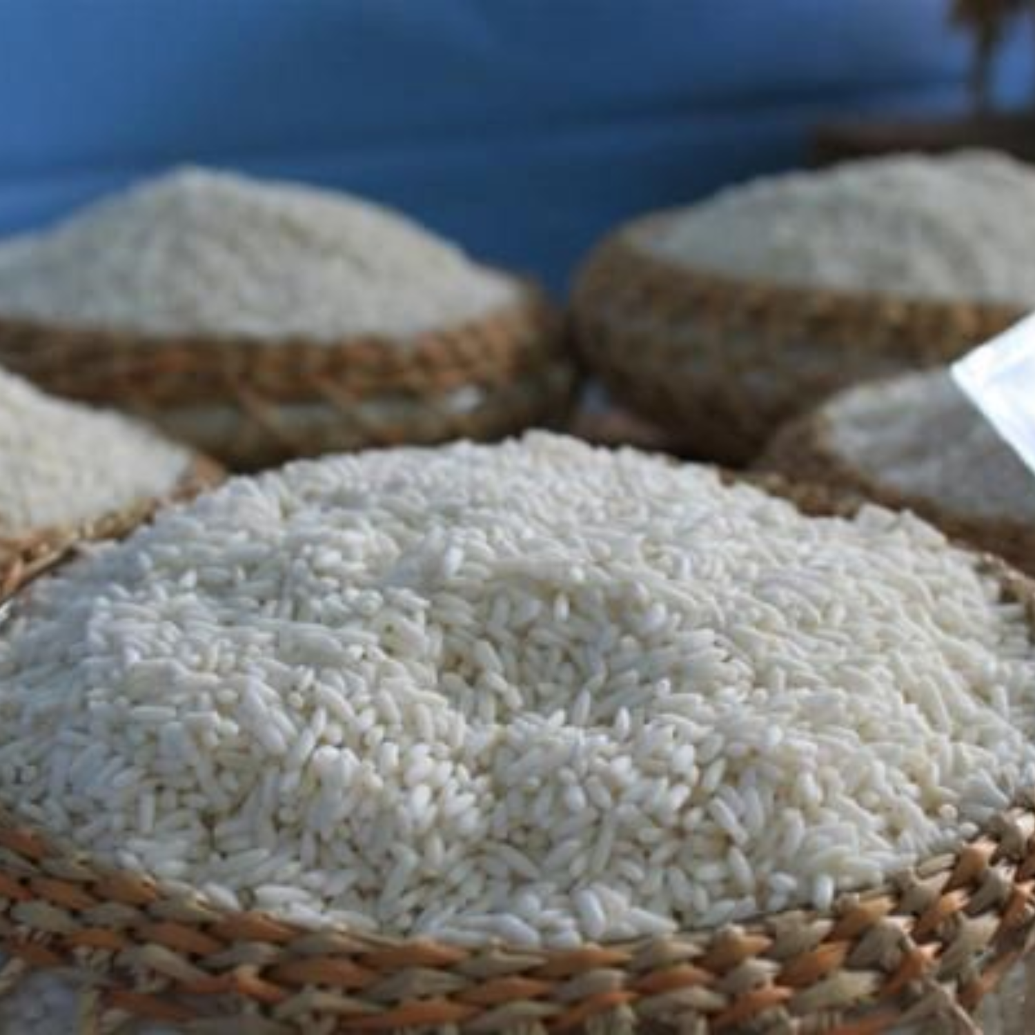 HIGH-QUALITY VIETNAMESE GLUTINOUS RICE FOR EXPORT – NATURAL STICKY RICE, BULK WHOLESALE SUPPLY 2