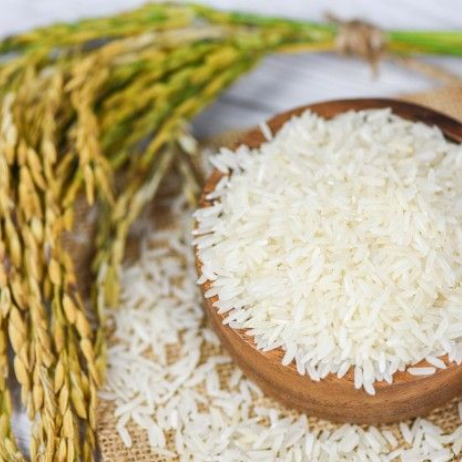 HIGH-QUALITY VIETNAMESE GLUTINOUS RICE FOR EXPORT – NATURAL STICKY RICE, BULK WHOLESALE SUPPLY 3
