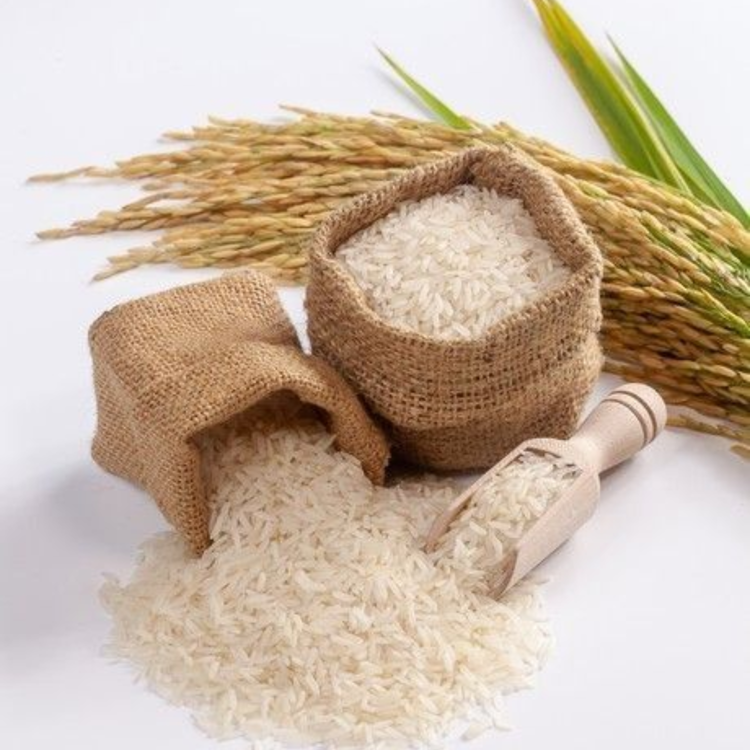HIGH-QUALITY VIETNAMESE GLUTINOUS RICE FOR EXPORT – NATURAL STICKY RICE, BULK WHOLESALE SUPPLY