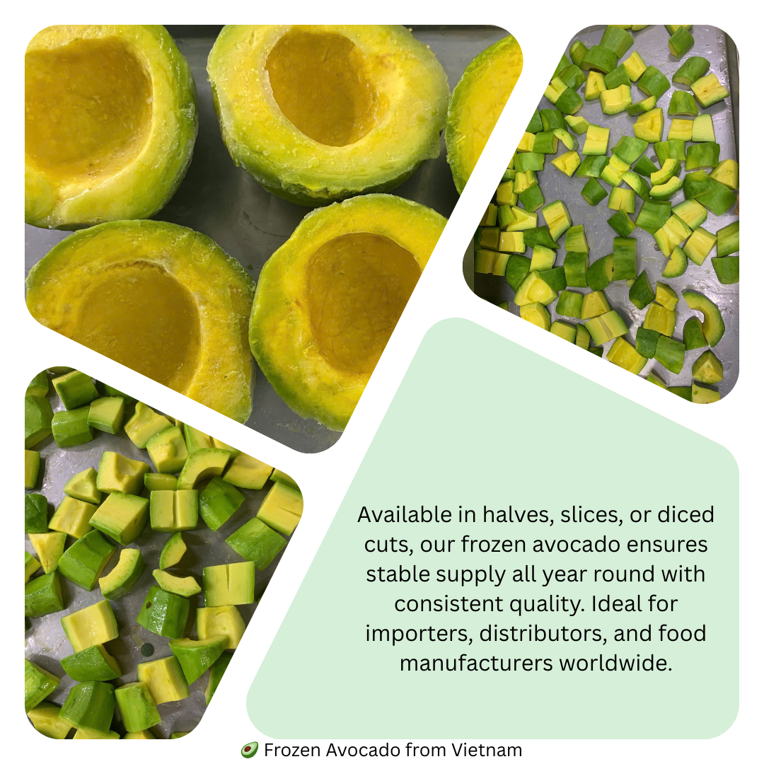 PREMIUM VIETNAMESE IQF FROZEN GREEN AVOCADO FOR EXPORT – HIGH-QUALITY FROZEN AVOCADO SUPPLY 2
