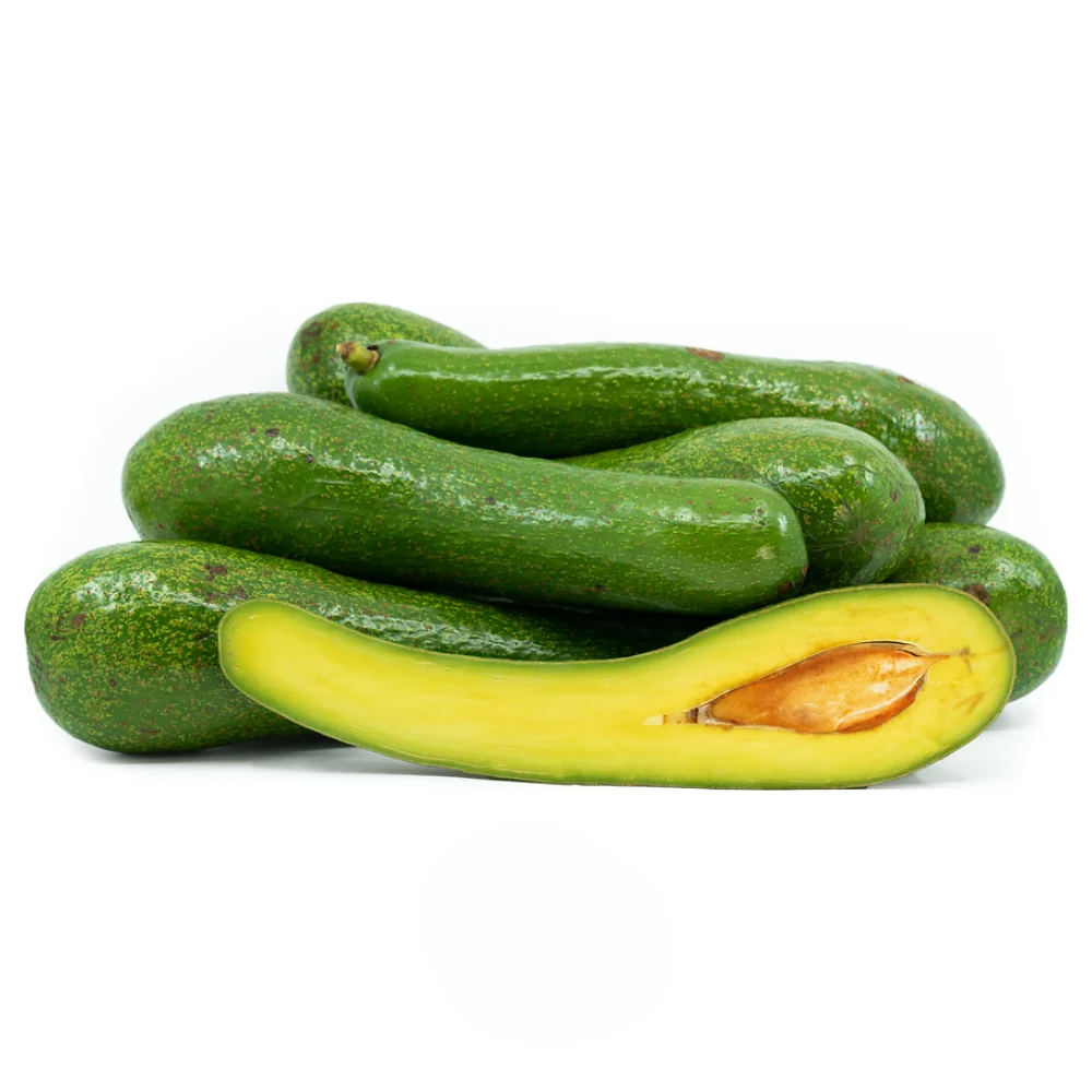 PREMIUM VIETNAMESE LAM HA AVOCADO FOR EXPORT – HIGH-QUALITY FRESH AVOCADOS FROM LAM DONG