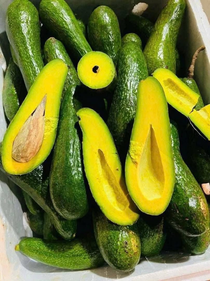 PREMIUM VIETNAMESE BOOTH 8 AVOCADO FOR EXPORT – HIGH-QUALITY FRESH AVOCADO WHOLESALE SUPPLY 2
