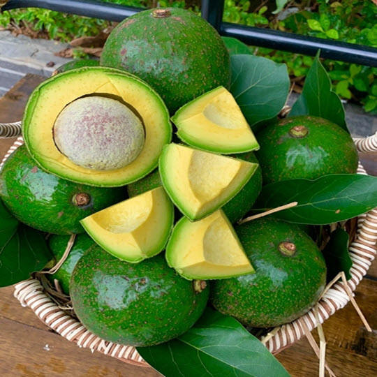 AFFORDABLE VIETNAMESE FROZEN AVOCADO FOR EXPORT – LOW-COST WHOLESALE BULK SUPPLY 2