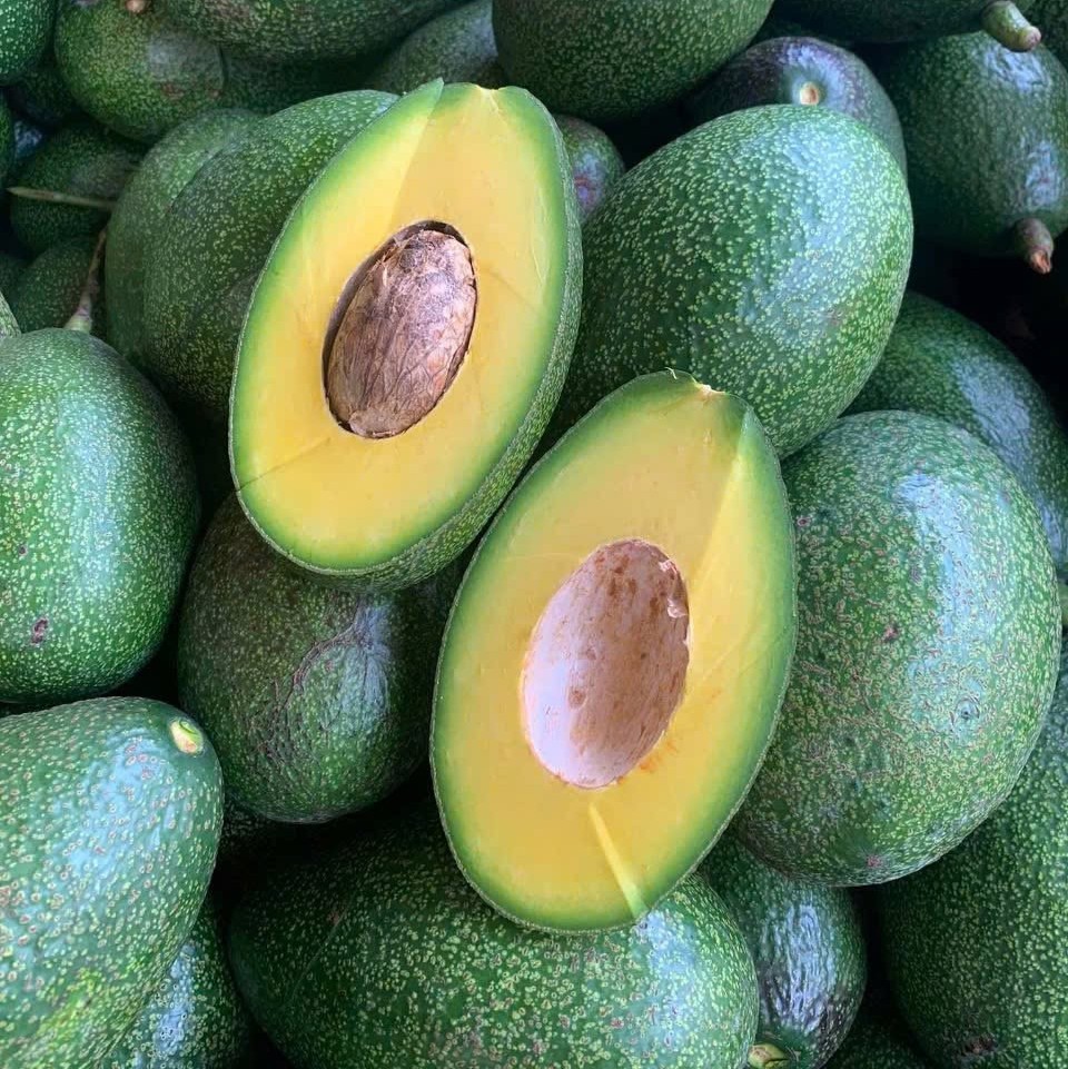 PREMIUM VIETNAMESE SHARWIL AVOCADO FOR EXPORT – HIGH-QUALITY FRESH AVOCADO WHOLESALE SUPPLY