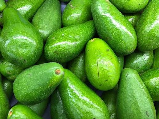 PREMIUM VIETNAMESE SHARWIL AVOCADO FOR EXPORT – HIGH-QUALITY FRESH AVOCADO WHOLESALE SUPPLY 4