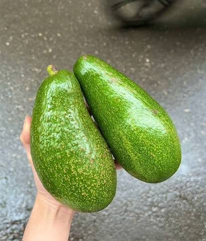 PREMIUM VIETNAMESE 036 AVOCADO FOR EXPORT – HIGH-QUALITY FRESH AVOCADO WHOLESALE SUPPLY 4