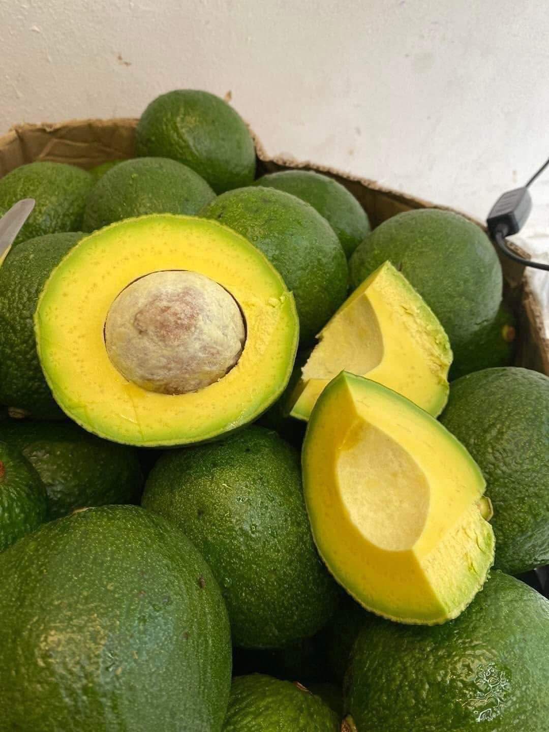 PREMIUM VIETNAMESE LAM DONG BUTTER AVOCADO FOR EXPORT – FRESH AVOCADO WHOLESALE SUPPLY 3