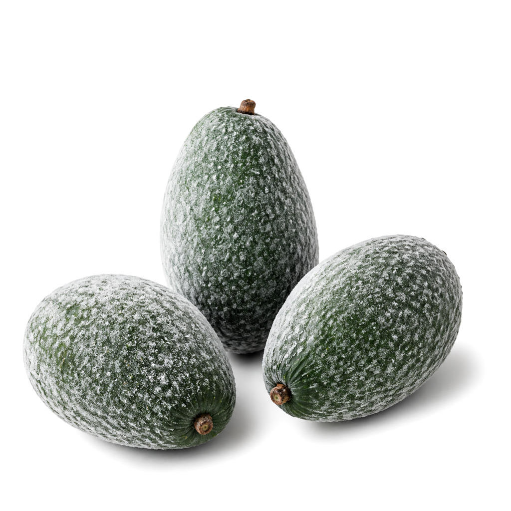 PREMIUM VIETNAMESE FROZEN AVOCADO SLICES FOR EXPORT – ZIPPER BAG PACKAGING, WHOLESALE SUPPLY