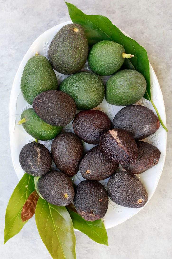 PREMIUM VIETNAMESE FROZEN AVOCADO SLICES FOR EXPORT – ZIPPER BAG PACKAGING, WHOLESALE SUPPLY 3