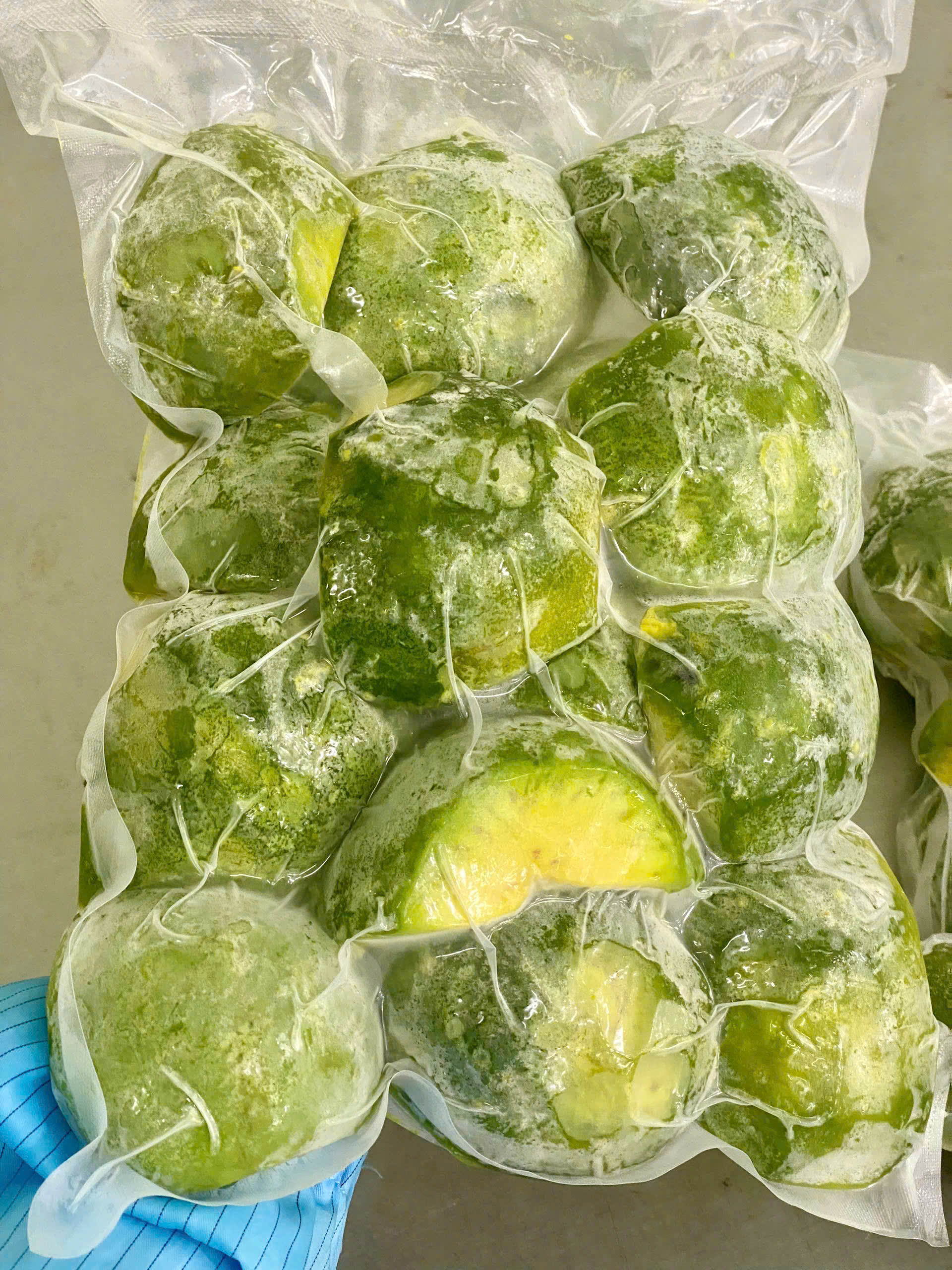 PREMIUM VIETNAMESE FRESH RIPE HASS AVOCADO FOR EXPORT – LARGE FRUIT WHOLESALE CARTONS, SEASONAL READY-TO-EAT SUPPLY 3
