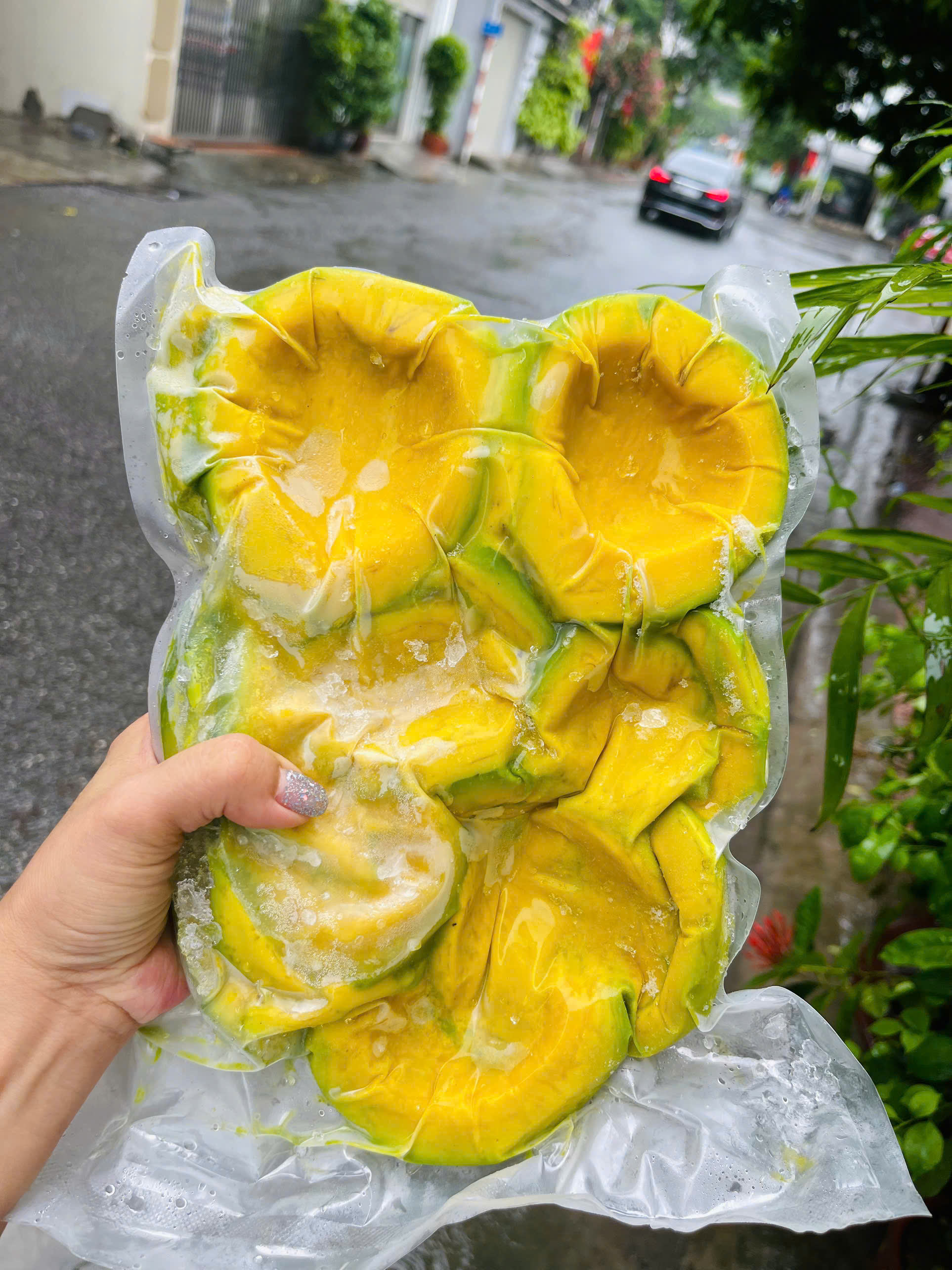 PREMIUM VIETNAMESE FRESH RIPE HASS AVOCADO FOR EXPORT – LARGE FRUIT WHOLESALE CARTONS, SEASONAL READY-TO-EAT SUPPLY 4