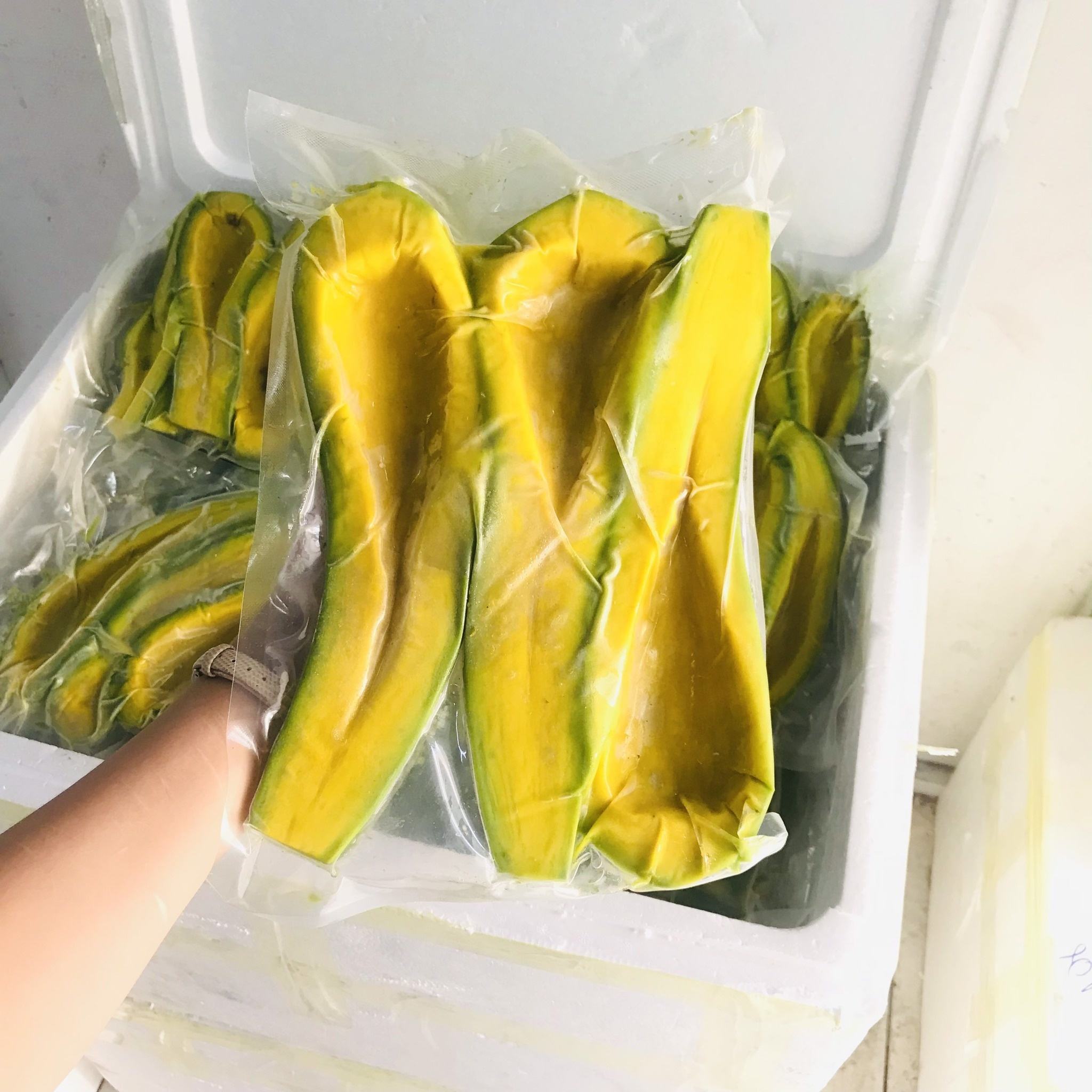 PREMIUM VIETNAMESE FROZEN AVOCADO FOR EXPORT – FACTORY-DIRECT WHOLESALE SUPPLY AT COMPETITIVE PRICES
