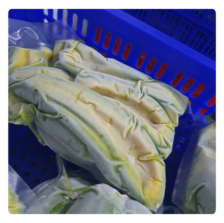 PREMIUM VIETNAMESE FROZEN AVOCADO FOR EXPORT – FACTORY-DIRECT WHOLESALE SUPPLY AT COMPETITIVE PRICES 3