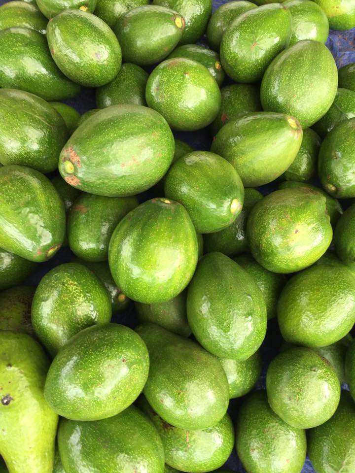 PREMIUM VIETNAMESE FRESH AVOCADO FOR EXPORT – 5KG CARTON PACKAGING, WHOLESALE SUPPLY AT COMPETITIVE PRICES 2