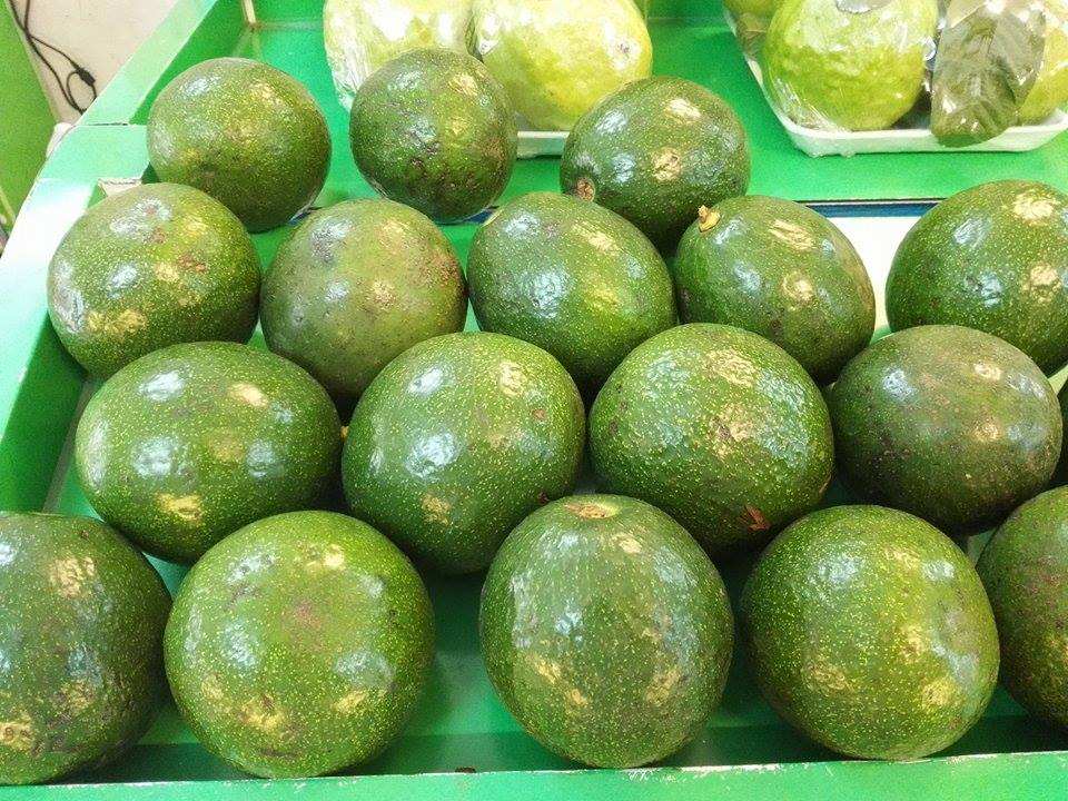 PREMIUM VIETNAMESE FRESH AVOCADO FOR EXPORT – 5KG CARTON PACKAGING, WHOLESALE SUPPLY AT COMPETITIVE PRICES 3