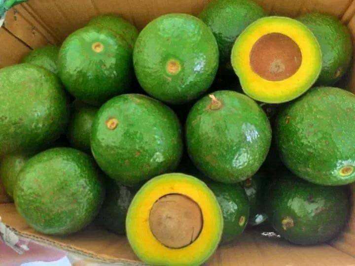 PREMIUM VIETNAMESE FRESH AVOCADO FOR EXPORT – 5KG CARTON PACKAGING, WHOLESALE SUPPLY AT COMPETITIVE PRICES 4