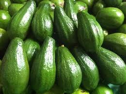 PREMIUM VIETNAMESE FRESH AVOCADO FOR EXPORT – HASS & FUERTE VARIETIES, WHOLESALE BULK SUPPLY 4
