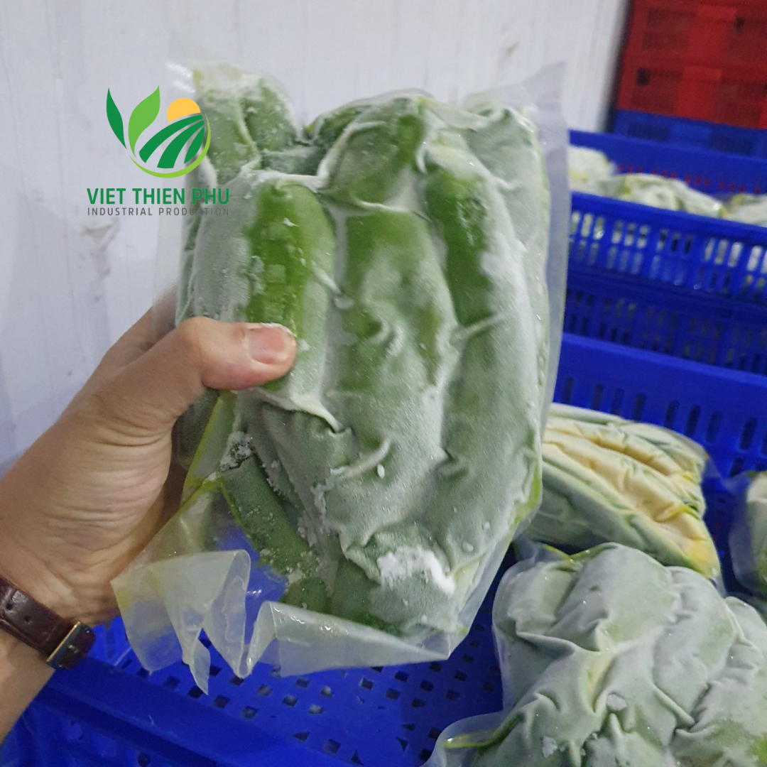 PREMIUM VIETNAMESE IQF FROZEN AVOCADO FOR EXPORT – VTP BRAND, 100% NATURAL CLAIM, WHOLESALE BULK SUPPLY 2
