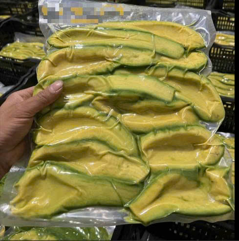 PREMIUM VIETNAMESE FROZEN AVOCADO FOR EXPORT – CREAMY FROZEN FRUIT, WHOLESALE SUPPLIER