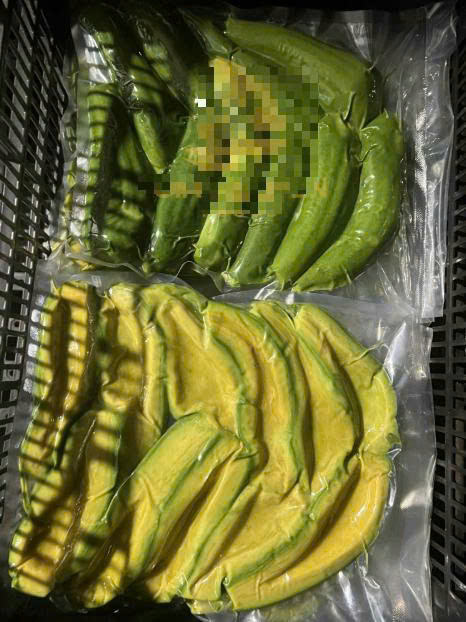 PREMIUM VIETNAMESE FROZEN AVOCADO FOR EXPORT – CREAMY FROZEN FRUIT, WHOLESALE SUPPLIER 2