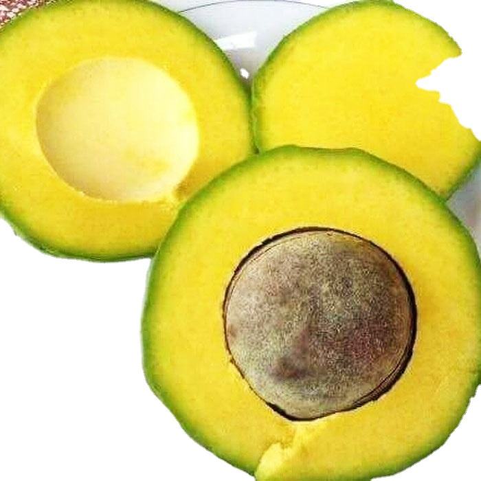 PREMIUM VIETNAMESE KRONG PAC AVOCADO FOR EXPORT – FRESH AVOCADO WHOLESALE & BULK SUPPLY 2