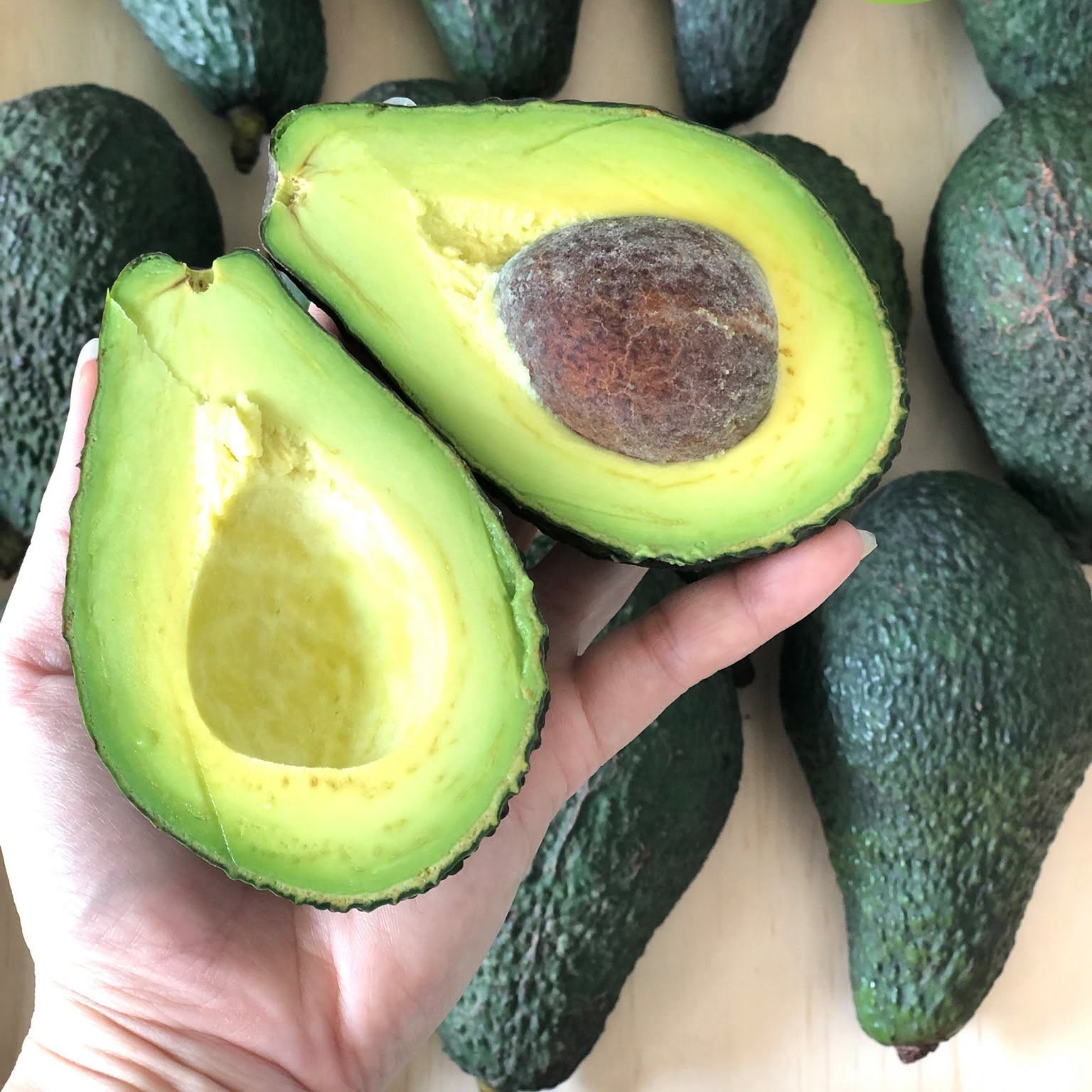 PREMIUM VIETNAMESE FRESH GREEN AVOCADO FOR EXPORT – MOUNTAIN-GROWN AVOCADOS, CLEAN SKIN & WHOLESALE SUPPLY