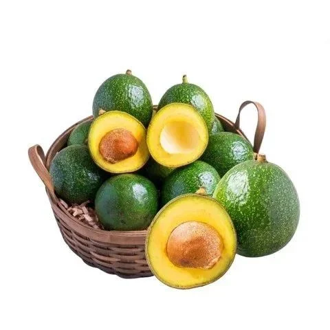 PREMIUM VIETNAMESE PINKERTON AVOCADO FOR EXPORT – FRESH GREEN AVOCADO WHOLESALE & BULK SUPPLY 2