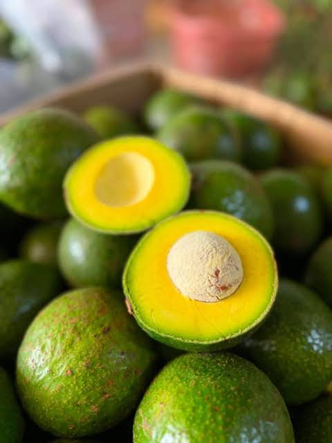 PREMIUM VIETNAMESE PINKERTON AVOCADO FOR EXPORT – FRESH GREEN AVOCADO WHOLESALE & BULK SUPPLY 3