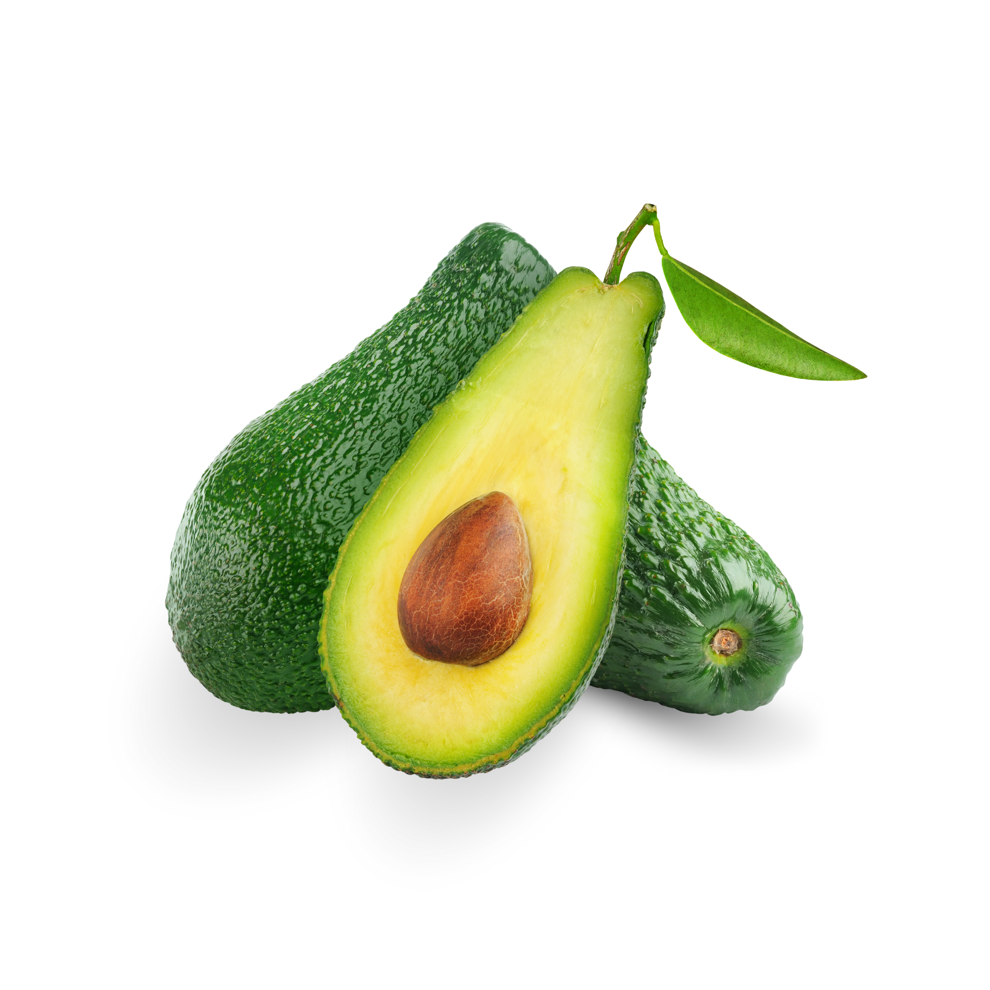 PREMIUM VIETNAMESE BOOTH 7 AVOCADO FOR EXPORT – FRESH GREEN AVOCADO WHOLESALE & BULK SUPPLY