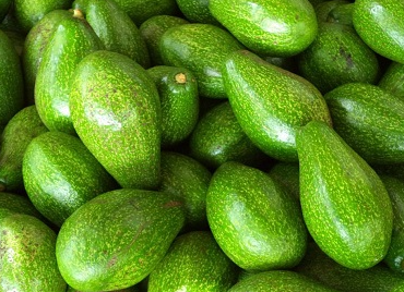 PREMIUM VIETNAMESE BOOTH 7 AVOCADO FOR EXPORT – FRESH GREEN AVOCADO WHOLESALE & BULK SUPPLY 2