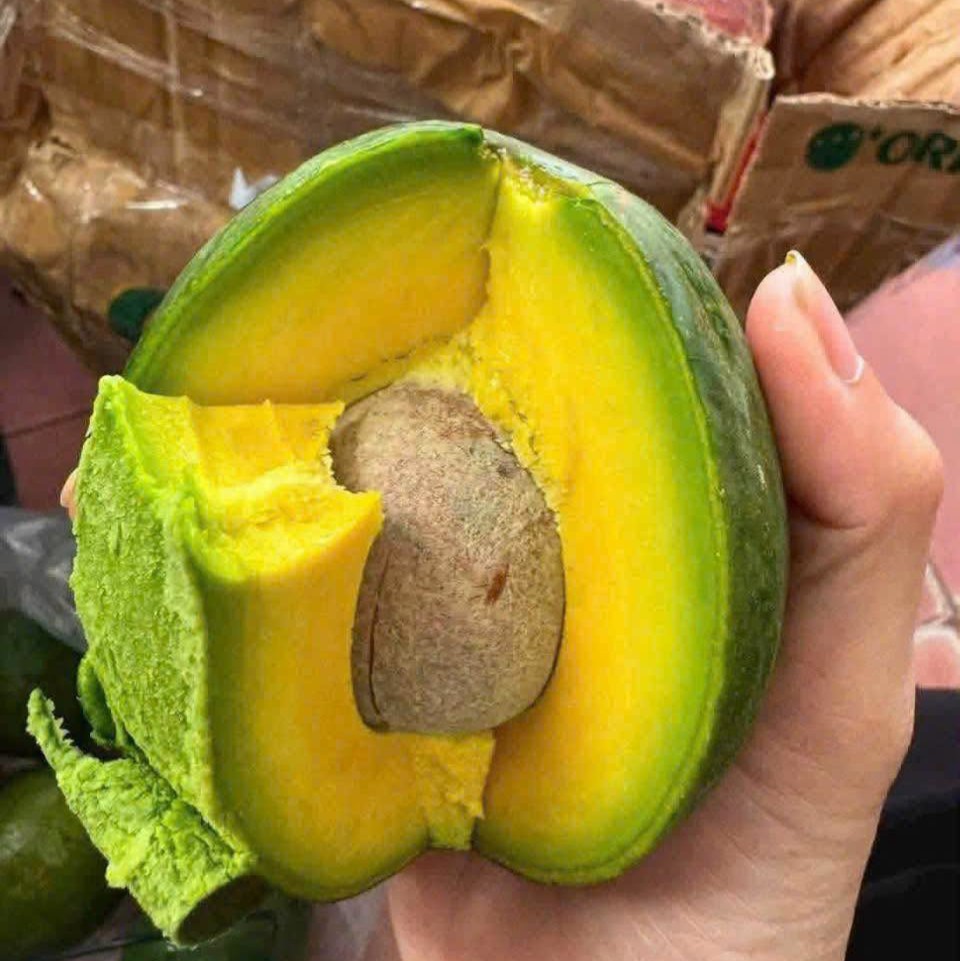 PREMIUM VIETNAMESE FRESH PEAR-SHAPED AVOCADO FOR EXPORT – YELLOW-GREEN FLESH, GRADE A & WHOLESALE SUPPLY