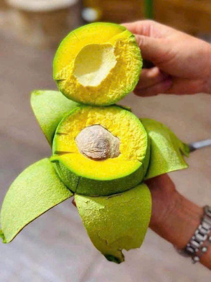 PREMIUM VIETNAMESE FRESH PEAR-SHAPED AVOCADO FOR EXPORT – YELLOW-GREEN FLESH, GRADE A & WHOLESALE SUPPLY 3