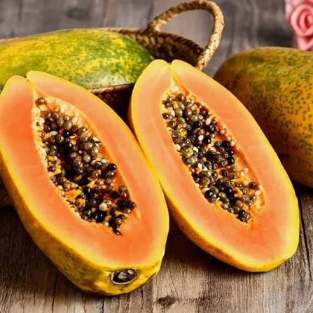 PREMIUM VIETNAMESE TREE-RIPENED PAPAYA FOR EXPORT – SELECTED FRESH FRUIT & WHOLESALE SUPPLY 3