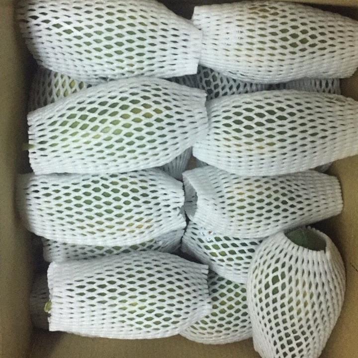 PREMIUM VIETNAMESE FRESH PAPAYA FOR EXPORT – HIGH-QUALITY TROPICAL FRUIT WHOLESALE SUPPLIER 2