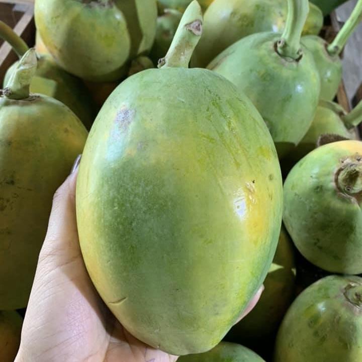 PREMIUM VIETNAMESE FRESH PAPAYA FOR EXPORT – HIGH-QUALITY TROPICAL FRUIT WHOLESALE SUPPLIER 3