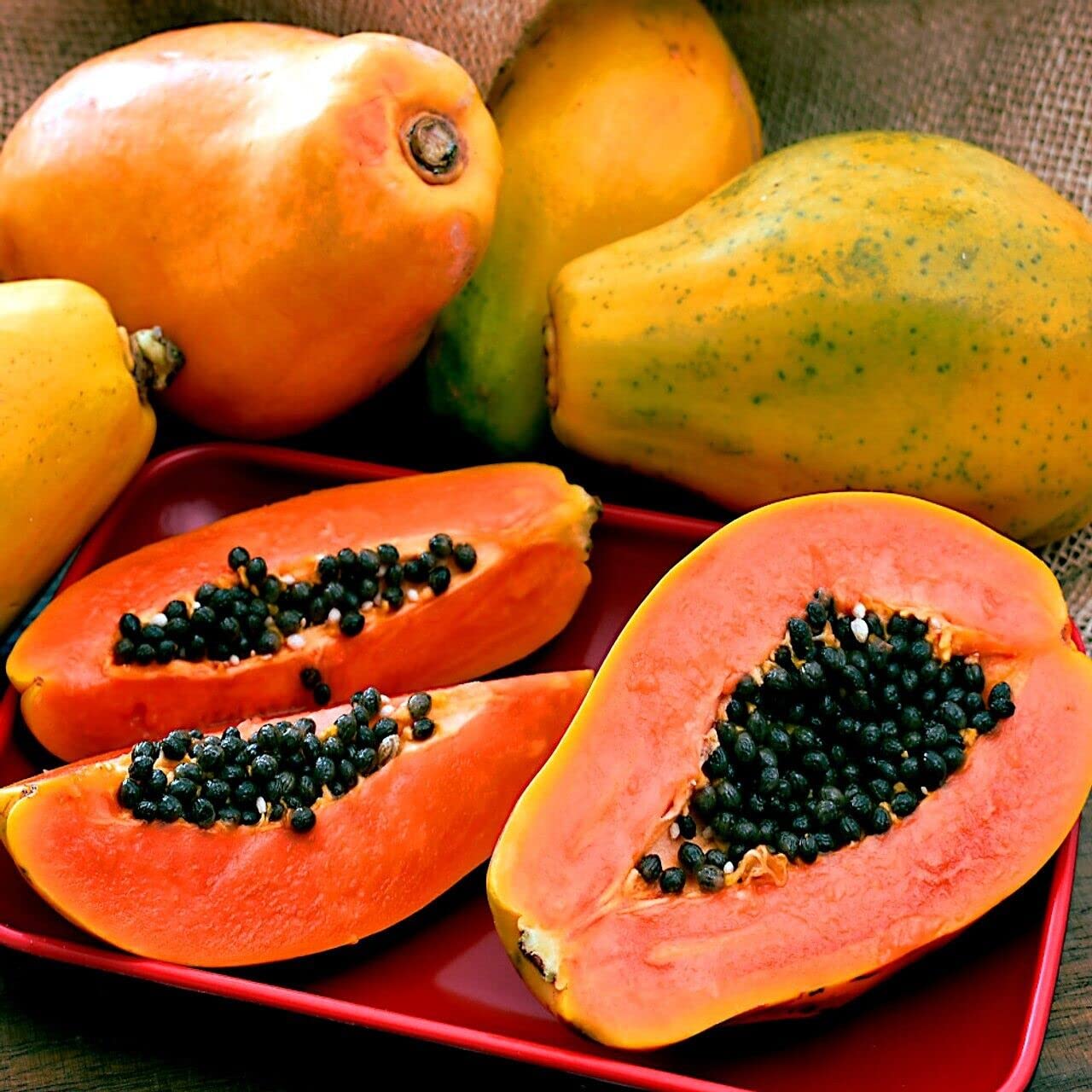 PREMIUM VIETNAMESE SUNRISE SOLO PAPAYA FOR EXPORT – FRESH TROPICAL FRUIT WHOLESALE & BULK SUPPLY