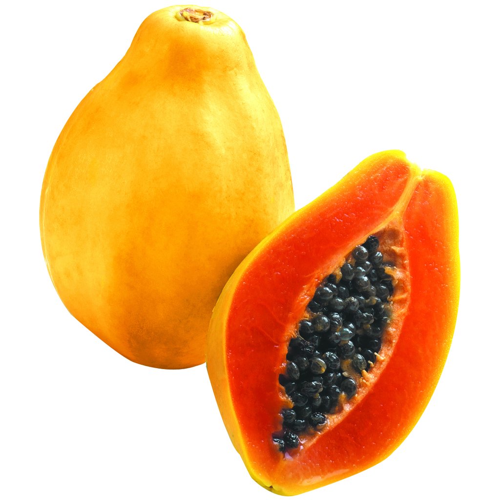 PREMIUM VIETNAMESE SUNRISE SOLO PAPAYA FOR EXPORT – FRESH TROPICAL FRUIT WHOLESALE & BULK SUPPLY 3