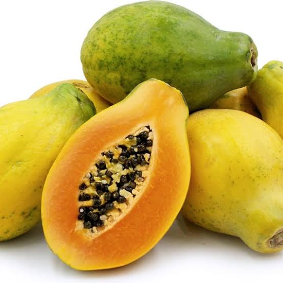 PREMIUM VIETNAMESE SUNRISE SOLO PAPAYA FOR EXPORT – FRESH TROPICAL FRUIT WHOLESALE & BULK SUPPLY 4